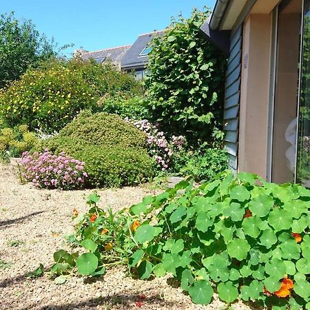 Le Petit Cottage Entre Village Et Mer Trélévern Eksteriør bilde