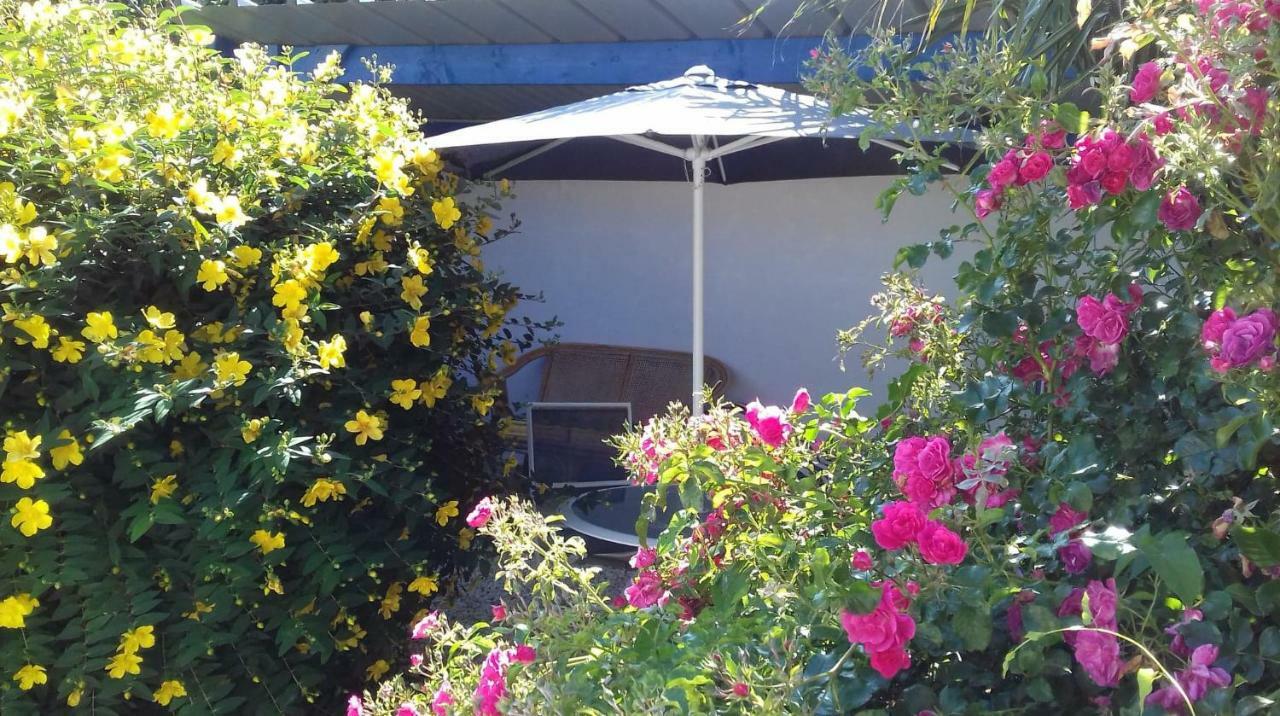 Le Petit Cottage Entre Village Et Mer Trélévern Eksteriør bilde